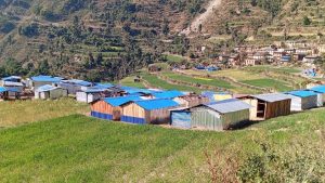 26,707 temporary shelters built for quake survivors in Rukum Paschim
