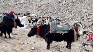 China Tightens Border Controls, Strangling Livelihoods in Remote Lapchi