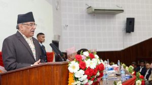 Payback of health insurance should be made simpler: PM Prachanda