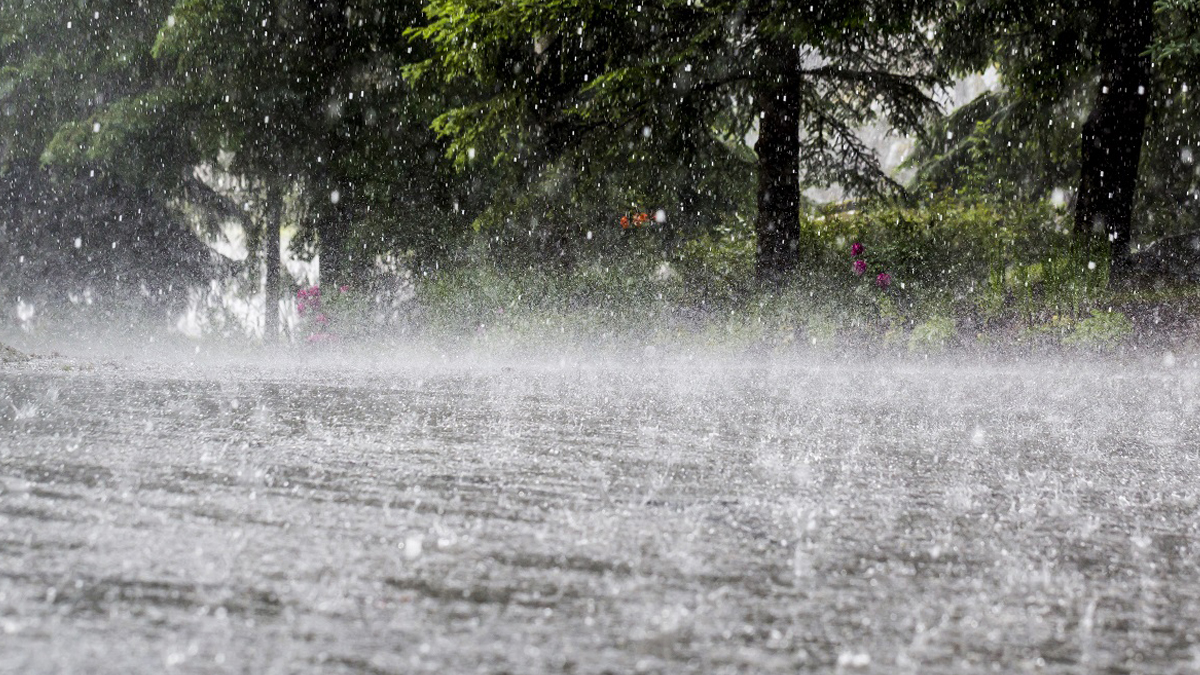 Heavy rain likely in some places of Koshi, Bagmati, Gandaki, Lumbini and Sudurpaschim