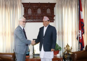 Ambassador of Brazil Meets DPM Shrestha