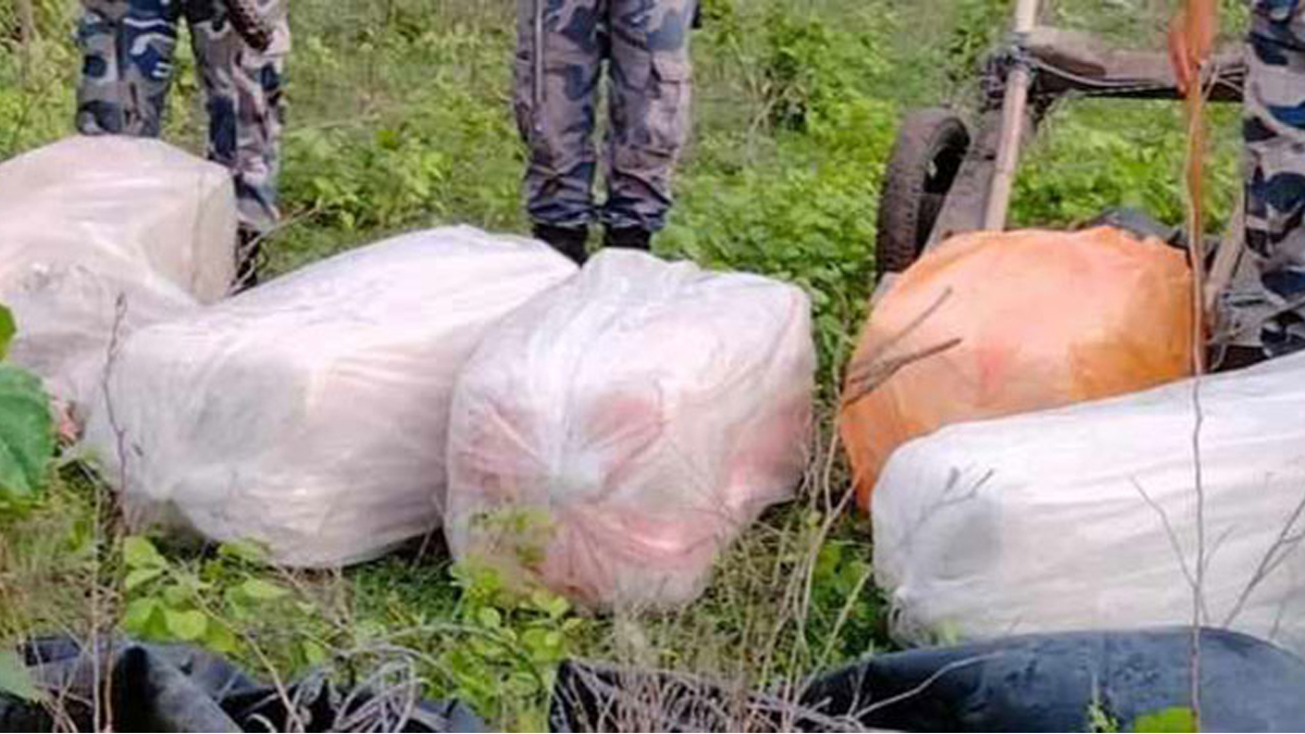 Large Marijuana Haul Seized in Udayapur