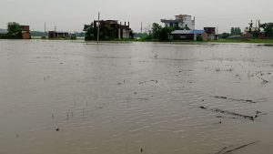 134 people dead in floods, landslides since monsoon rain in Nepal