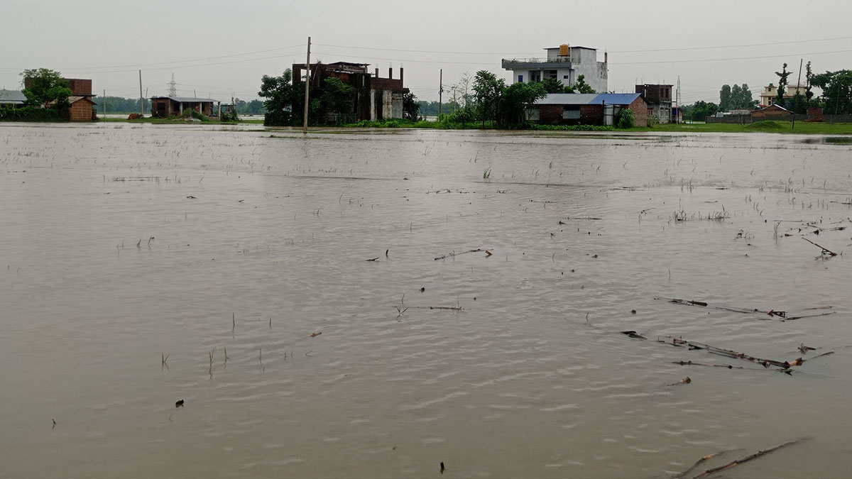 134 people dead in floods, landslides since monsoon rain in Nepal