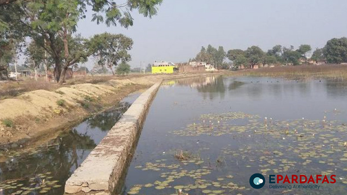 Motorboat Operation in Kanti Tal Threatens Bird Habitat, Conservationists Warn