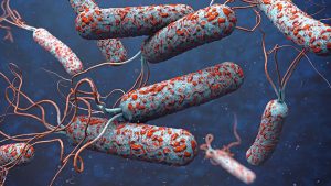 Cholera Outbreak: 25 Cases Confirmed Nationwide