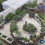 Global Study Highlights Urban Agriculture’s Dual Role in Advancing Sustainable Development Goals