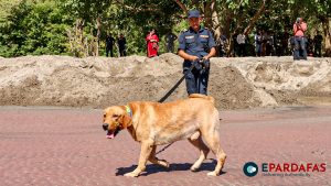 Over 6,000 Police Personnel to Be Deployed in Madhes for Festive Security