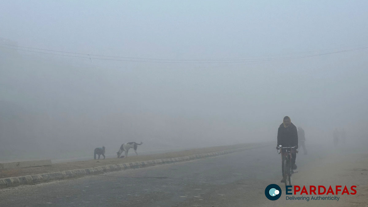 Cold Wave and Dense Fog Disrupt Life in Tarai Madhes