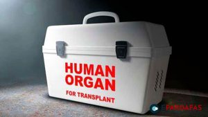 Nepal Launches Online Information Service for Organ Transplants