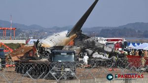 Bird Strike Warning Issued Minutes Before Jeju Air Plane Crash in Muan