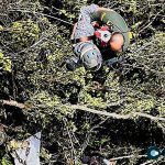 10 Dead in Colombia Aircraft Crash