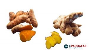 Karnali’s Organic Ginger and Turmeric Enter European Market