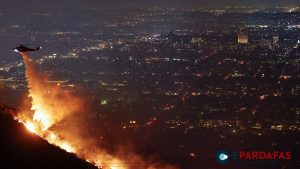 Hollywood Wildfires Ravage Los Angeles, Claiming Lives and Thousands of Homes