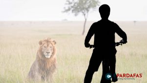 Seven-Year-Old Boy Survives Five Days in Zimbabwe’s Lion-Infested National Park